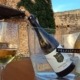 Tast a la terrassa superior del Castell de Vila-rodona Winery